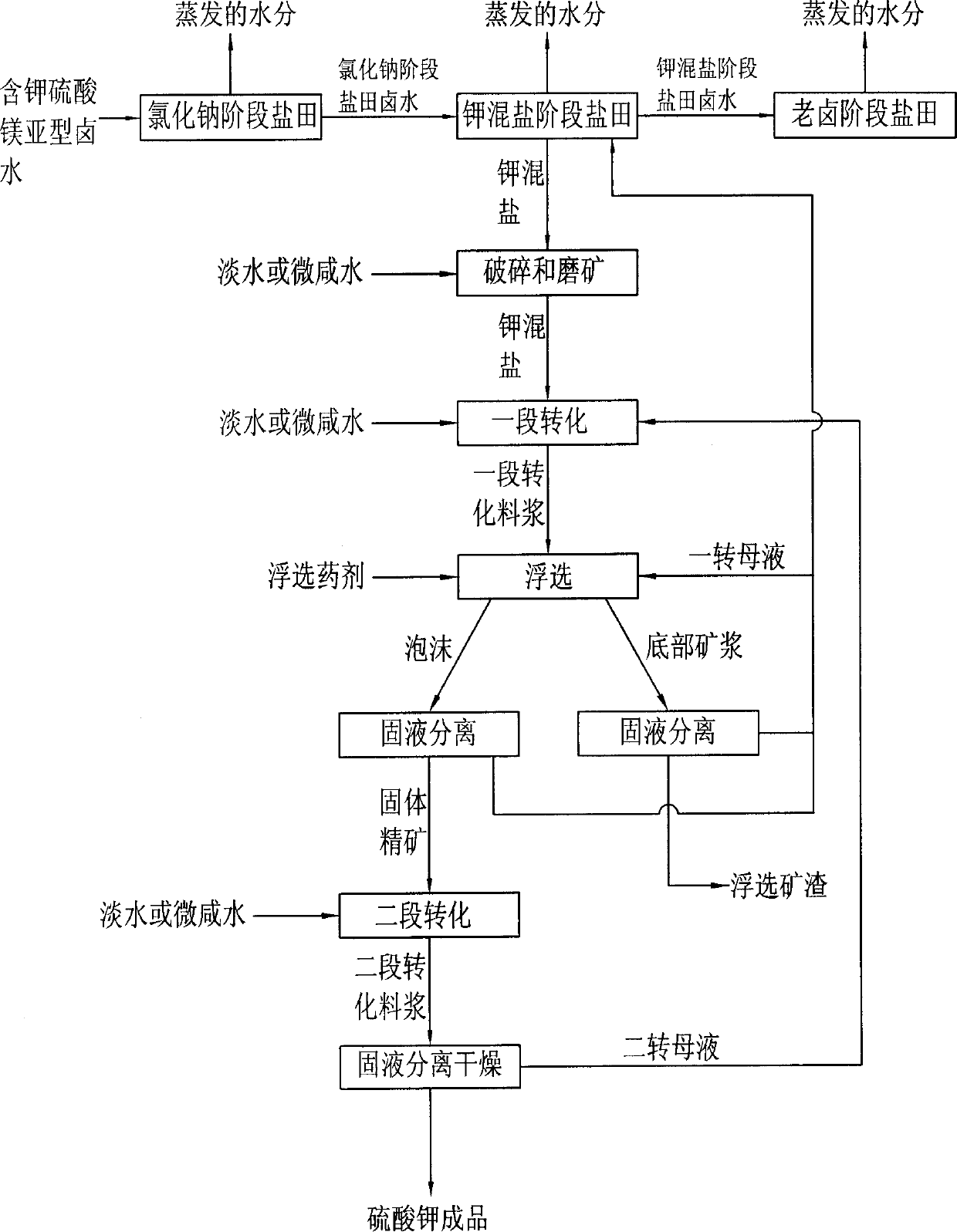 Improved process of preparing potassium sulfate with bittern containing potassium and magnesium sulfite