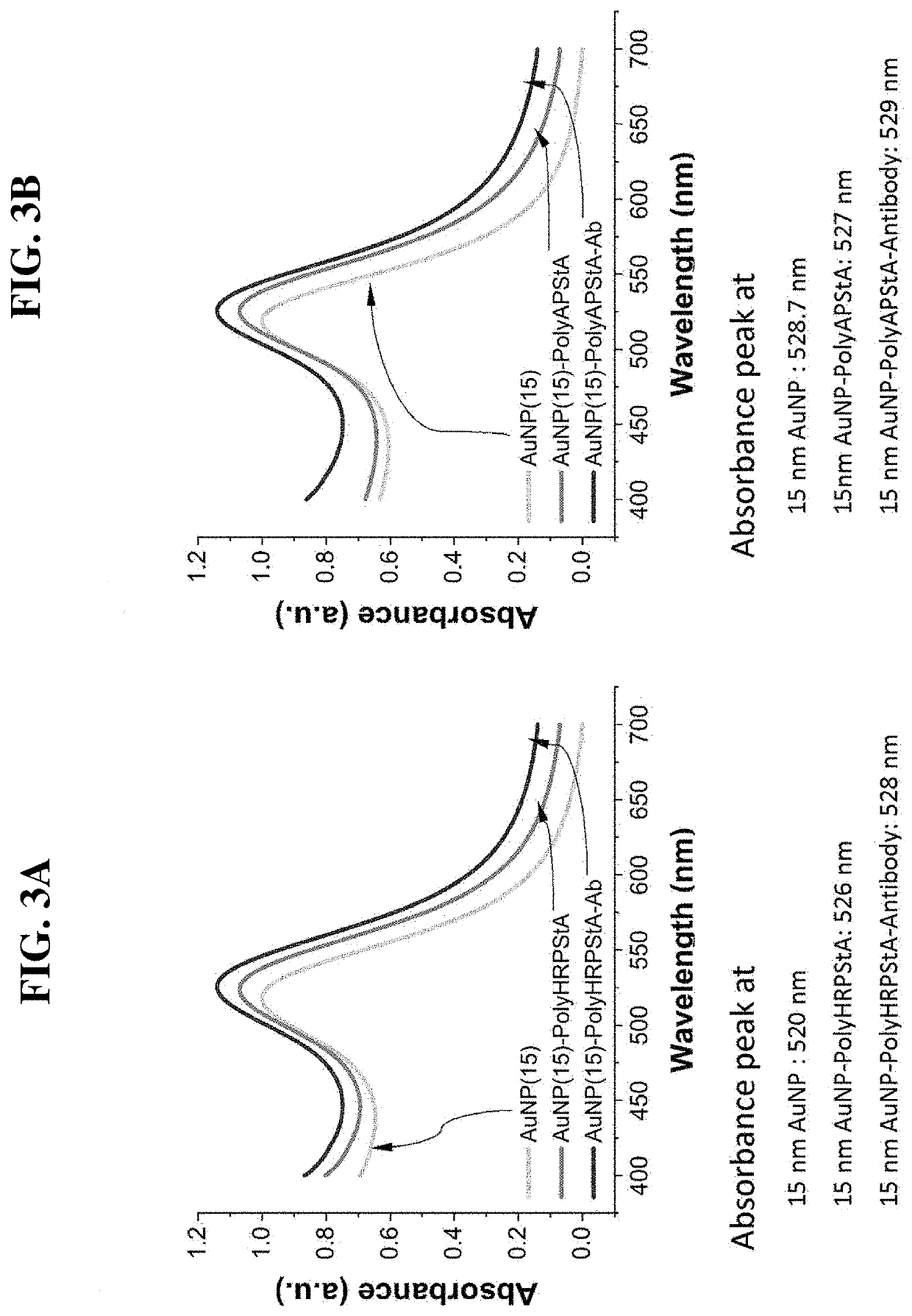 Conjugate for immunodetection based on lateral flow assay, and immunodetection method using same