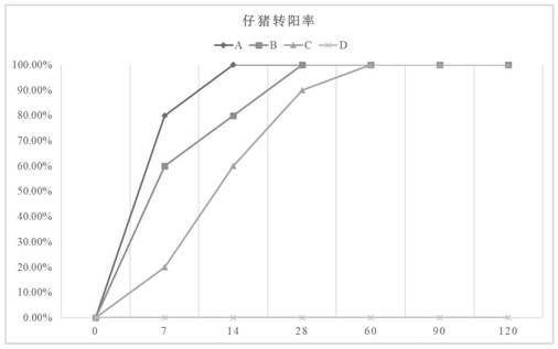 Immunopotentiator for swine fever live vaccine and preparation method thereof