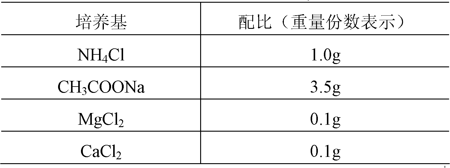 Microorganism bacterium agent for subtracting organic sludge, production method of microorganism bacterium agent and complex culture medium