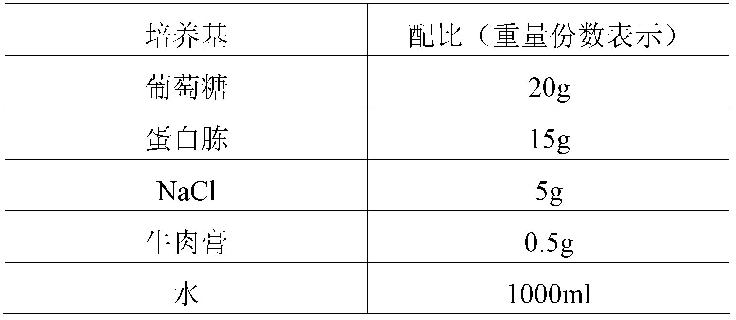 Microorganism bacterium agent for subtracting organic sludge, production method of microorganism bacterium agent and complex culture medium