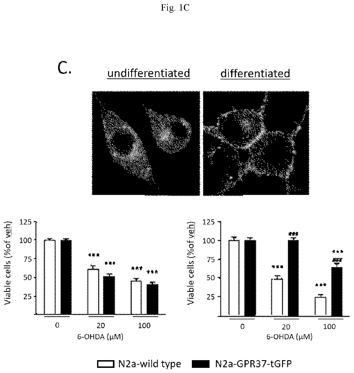 Idoxuridine and its analogs as neuroprotectans for the treatment of parkinsonism