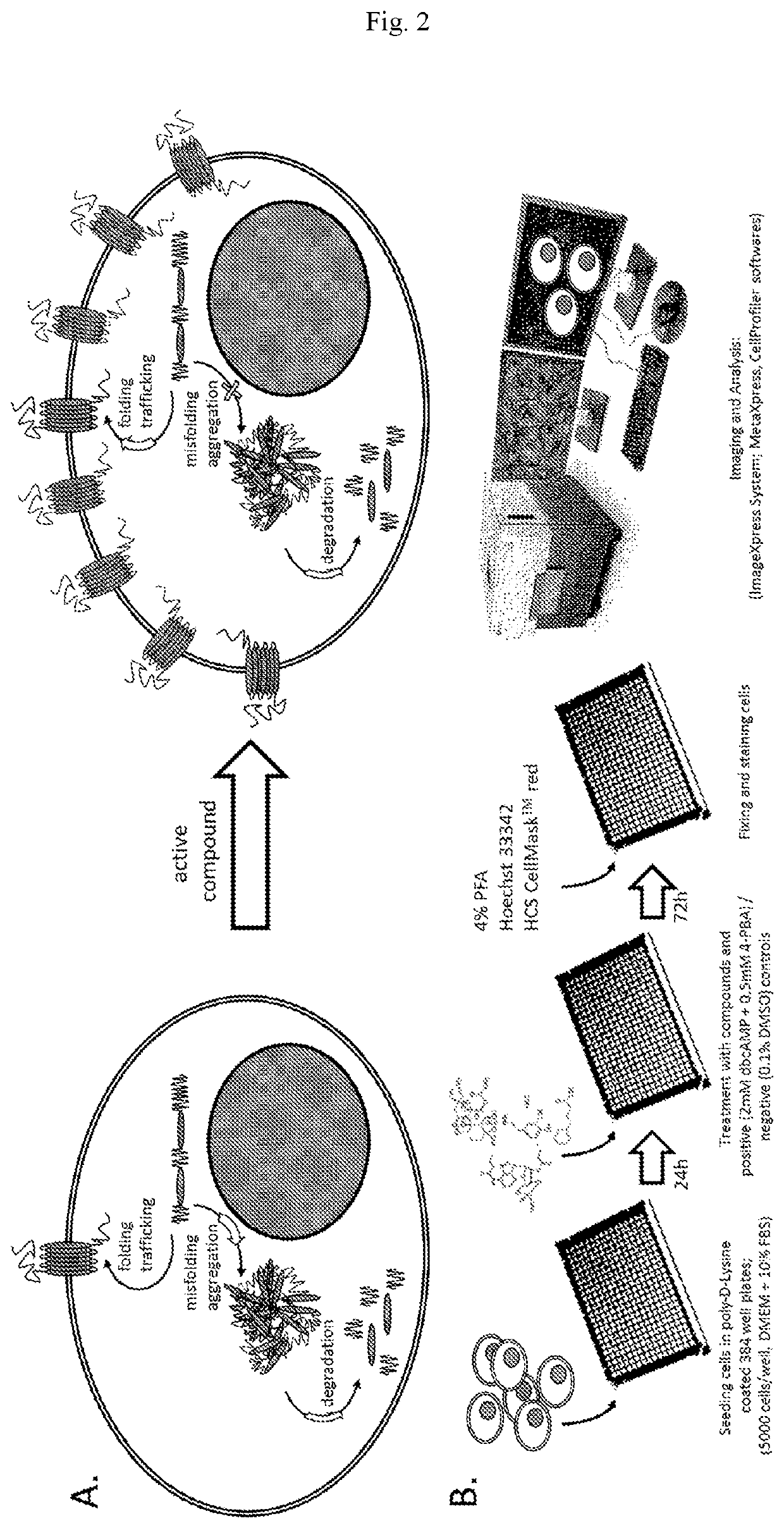 Idoxuridine and its analogs as neuroprotectans for the treatment of parkinsonism