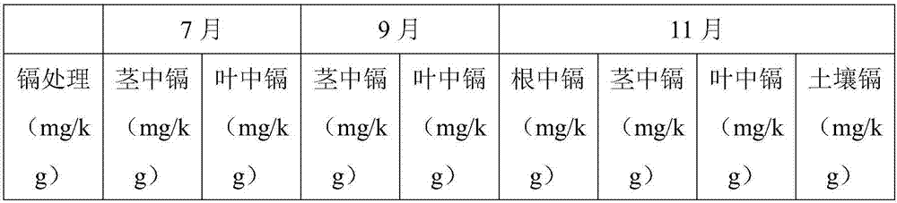 Method for efficiently repairing composite polluted soil by artificial ecological system