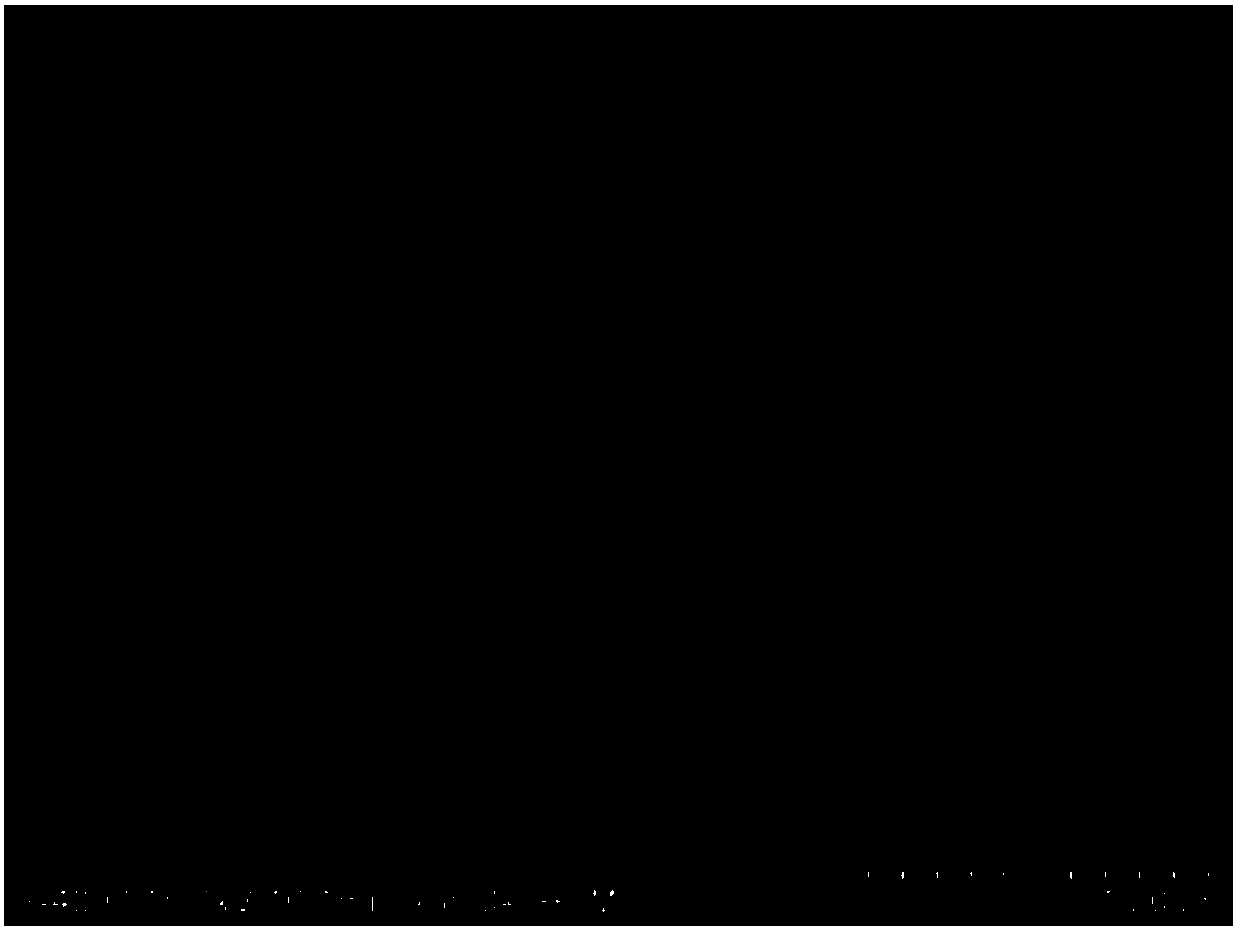 A targeted antitumor complex based on ricin, a preparing method thereof and applications of the complex