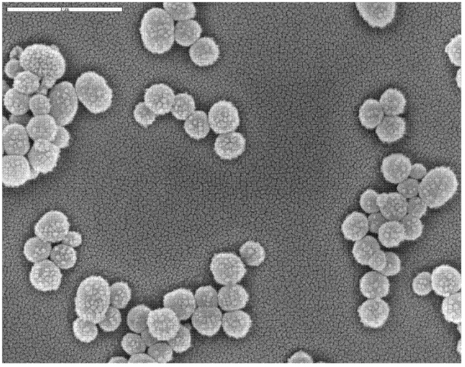 Method for preparing antibacterial powder loaded with monodisperse silver nanometer mesoporous silica