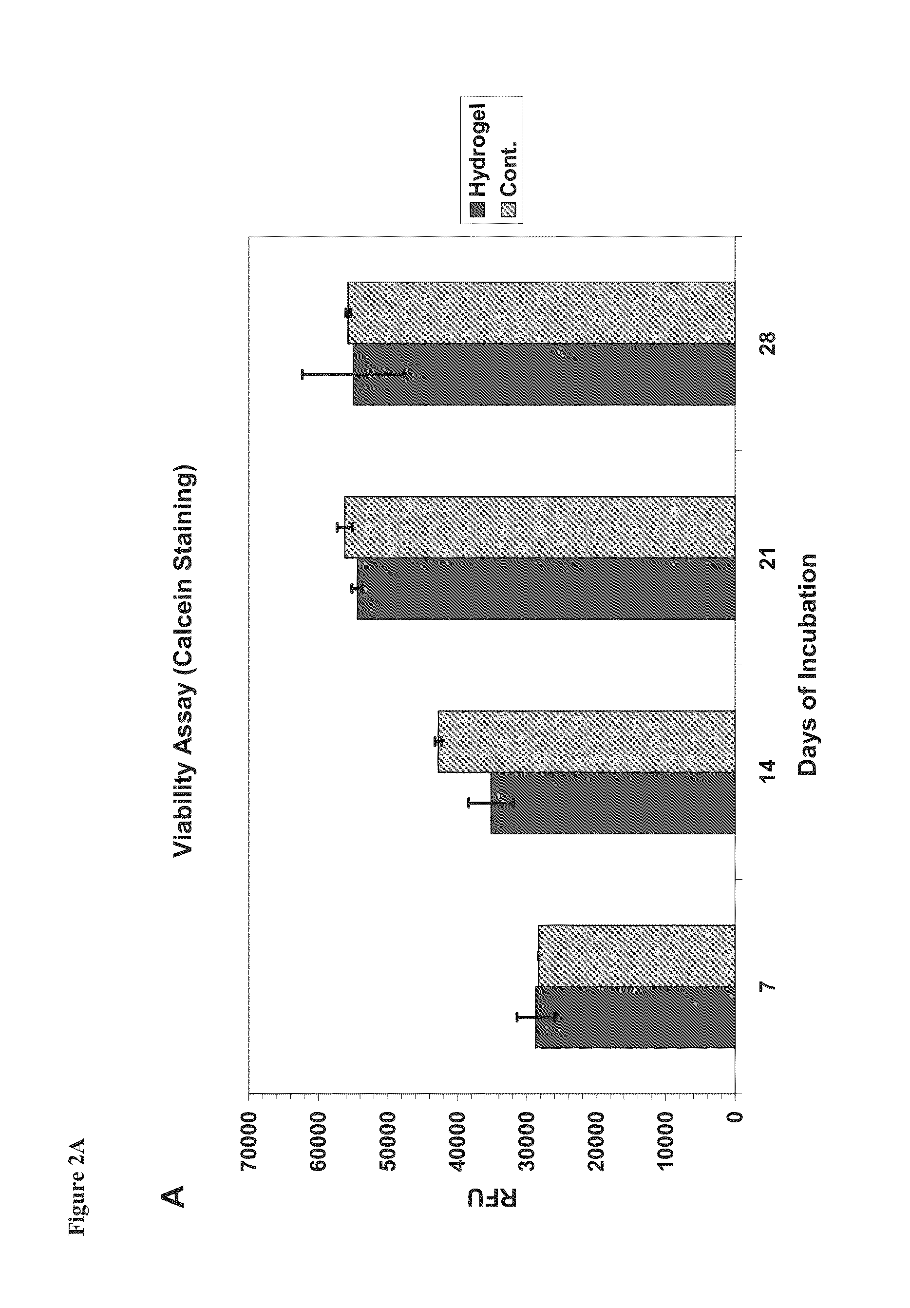 Peptides comprising alternating hydrophobic and anionic amino acids for treatment of osteoporosis