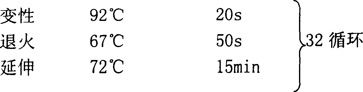 Optimized method for long-fragment nucleic acid polymerase chain reaction expanding based on nano metallic particles