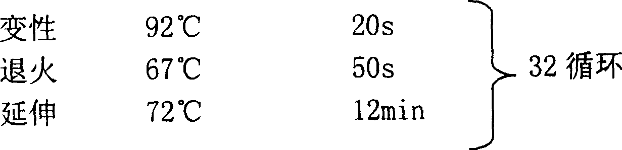 Optimized method for long-fragment nucleic acid polymerase chain reaction expanding based on nano metallic particles