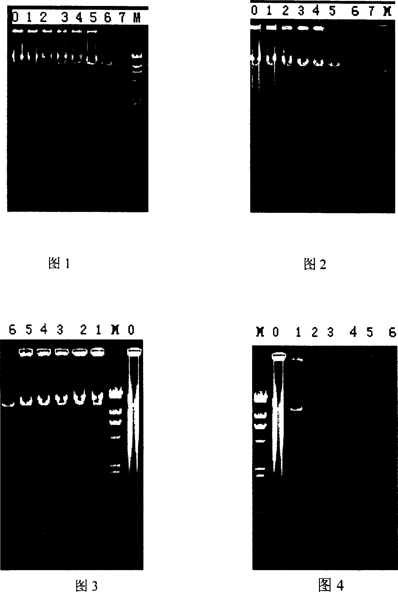 Optimized method for long-fragment nucleic acid polymerase chain reaction expanding based on nano metallic particles