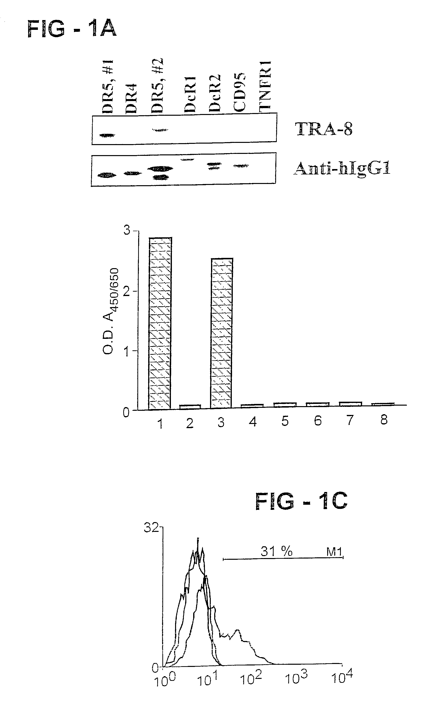 Combinations of DR5 antibodies and other therapeutic agents