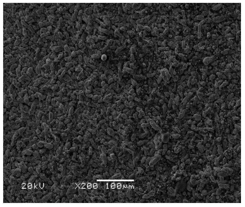 Preparing method of high-temperature antioxidant fastener and antioxidant material