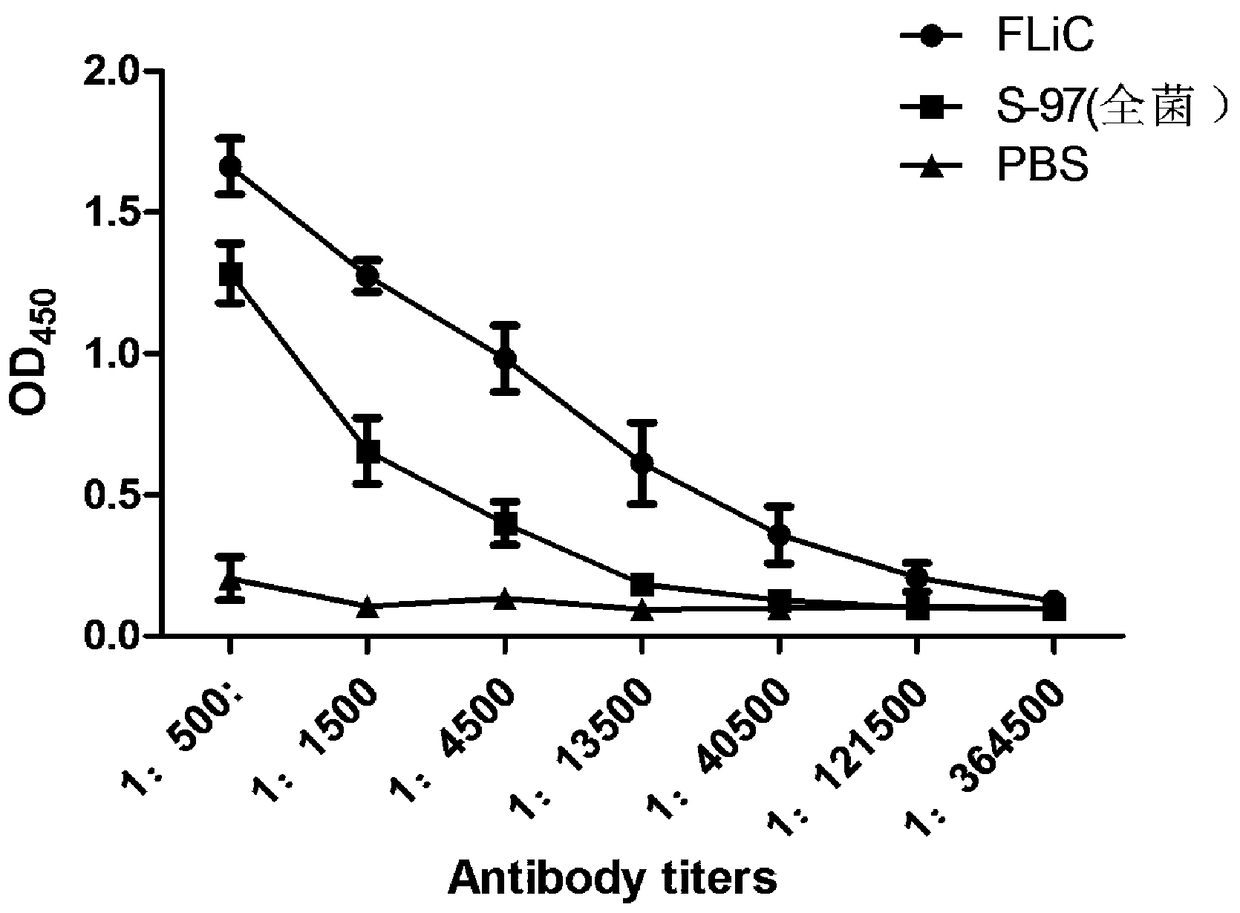 Preparation method and application of flagellin FliC from salmonella abortus equi