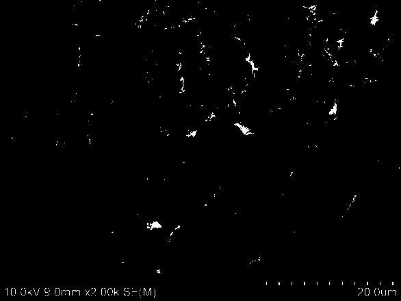 Preparation method capable of monitoring degraded bone cement with NIRII region fluorescent light, degraded bone cement product and application of degraded bone cement product