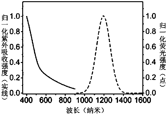 Preparation method capable of monitoring degraded bone cement with NIRII region fluorescent light, degraded bone cement product and application of degraded bone cement product