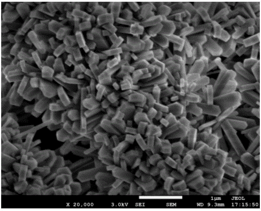 Hollow microsphere molecular sieve, preparation method thereof and application thereof to arene preparation through methyl alcohol