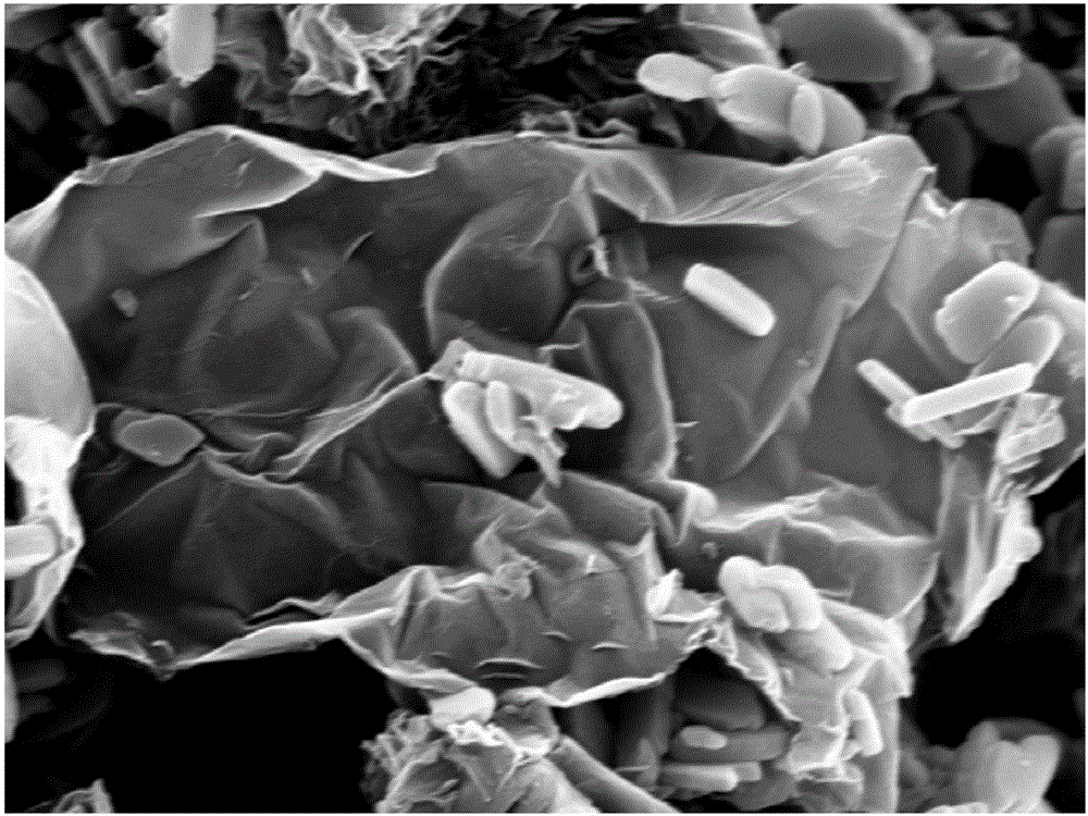 Hydrothermal synthesis method for nitrogen-doping graphene-loaded cobalt oxygen reduction reaction electrocatalyst