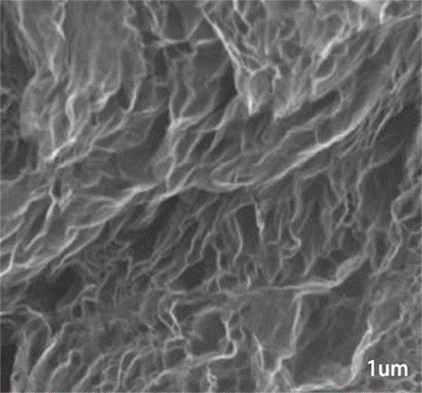 Method for enriching phthalate in air through graphene/ionic liquid composite material