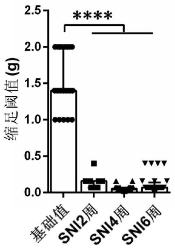 Analgesic and antipruritic pharmaceutical composition and application method thereof