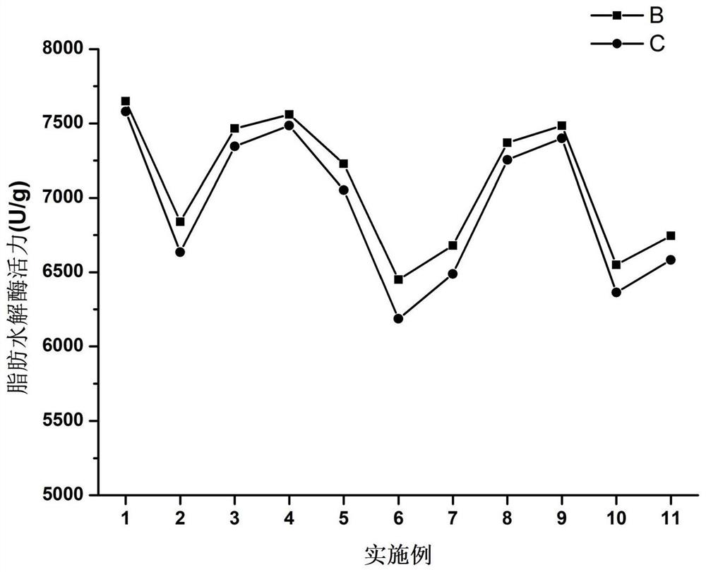 Complex enzyme preparation capable of degrading kitchen waste and preparation method and application thereof