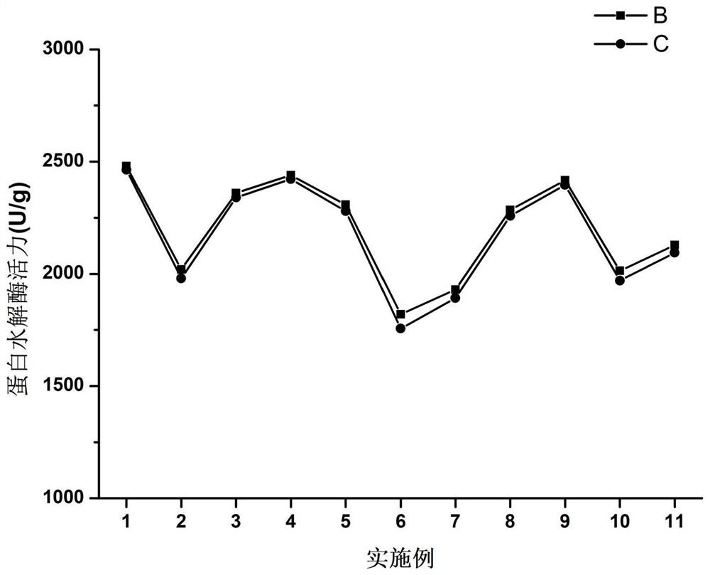 Complex enzyme preparation capable of degrading kitchen waste and preparation method and application thereof