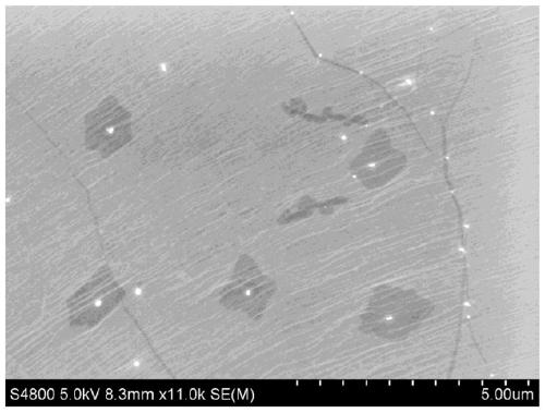 A method for growing large-domain graphene using hexagonal boron nitride as point seeds