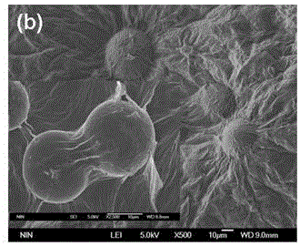 Preparation method of graphene-enhanced titanium-based material