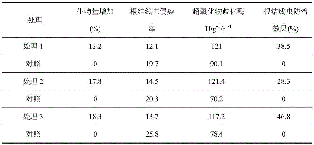 Cultivation method for improving northern protected tomato resistibility to root-knot nematode