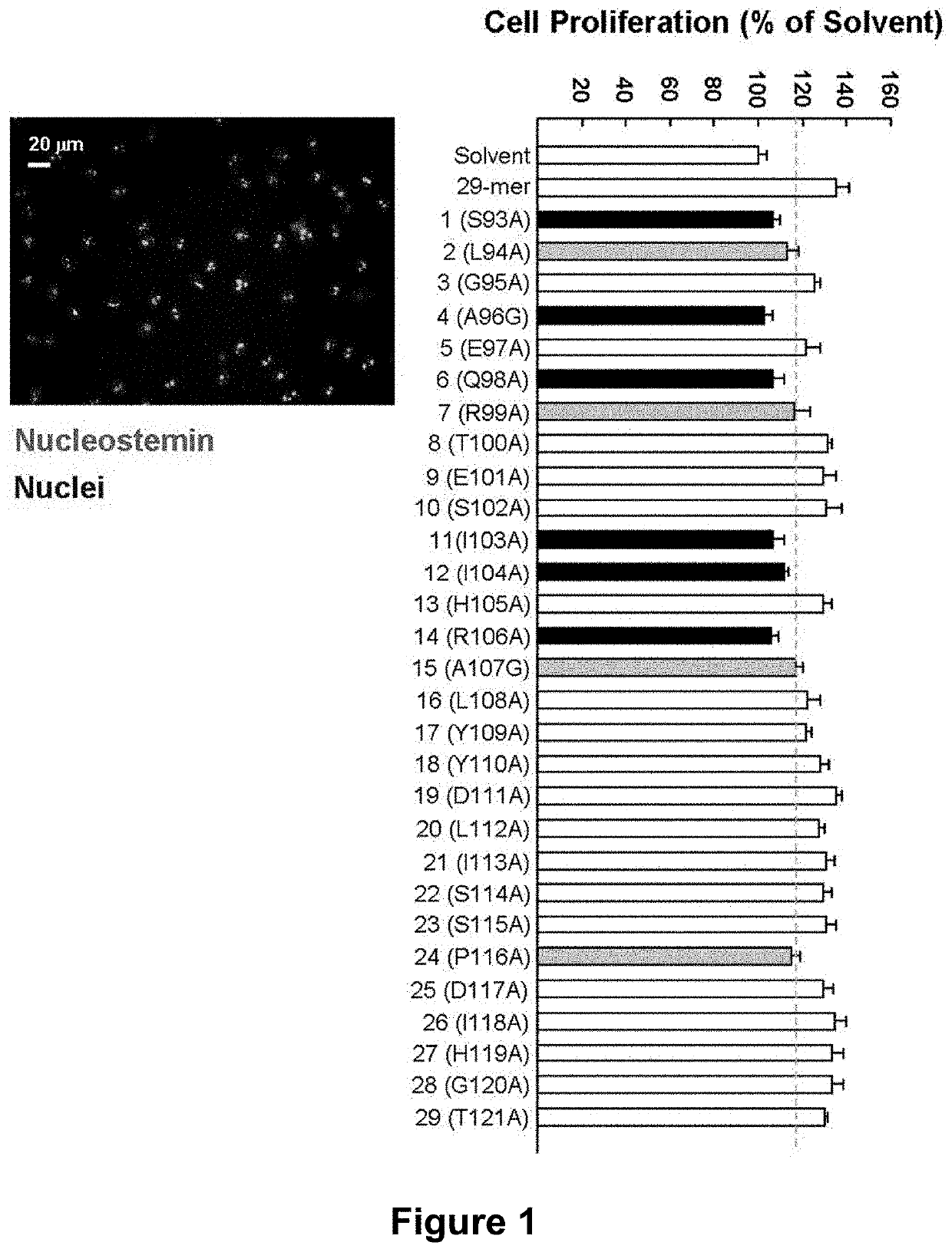 Application of pedf-derived short peptides in tendon healing