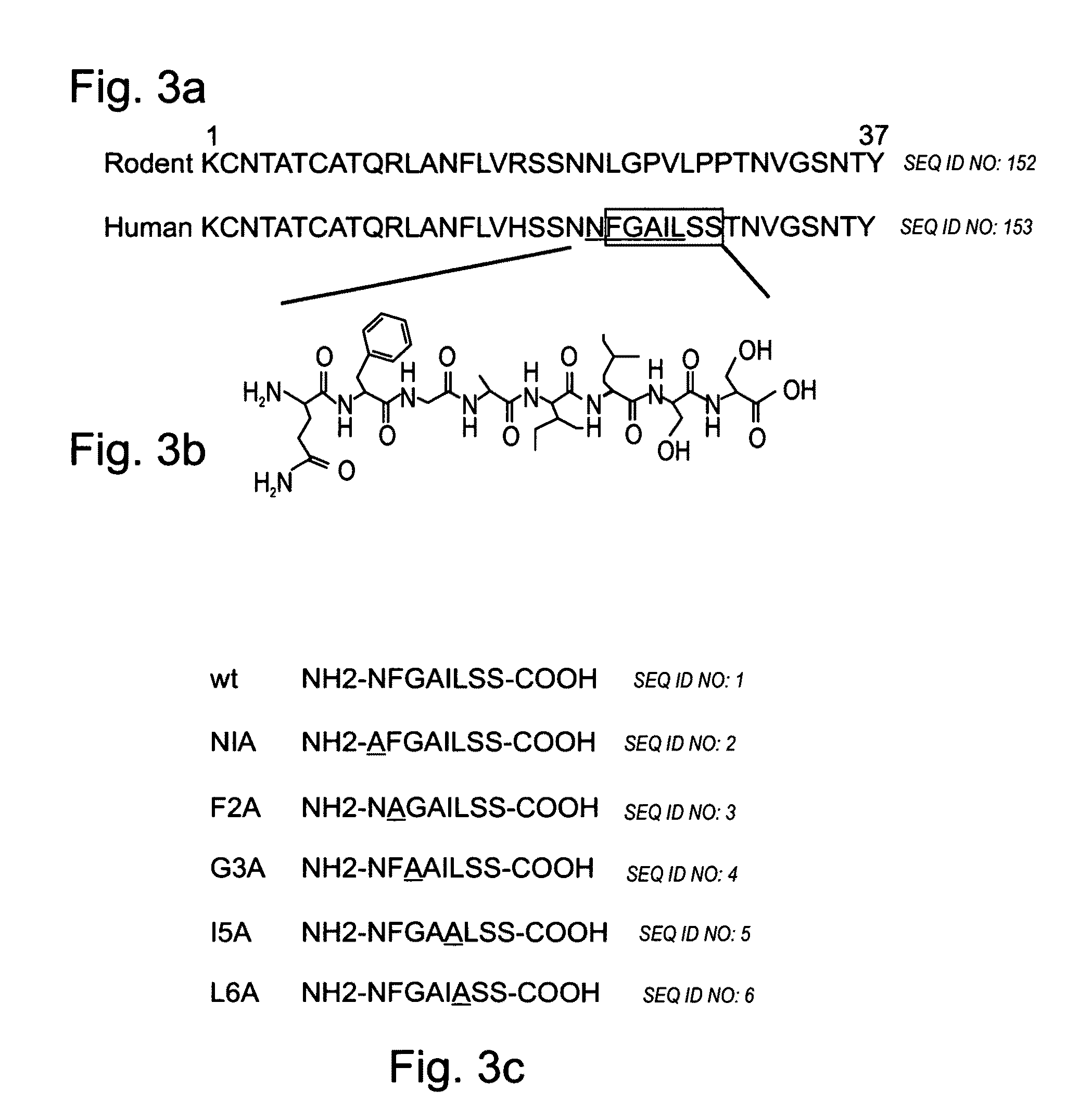 Peptides and methods using same for diagnosis and treatment of amyloid-associated disease