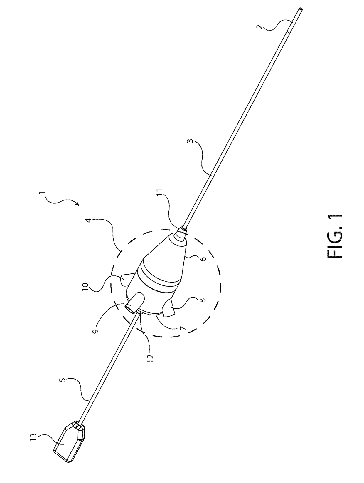 Endoscope with variable profile tip