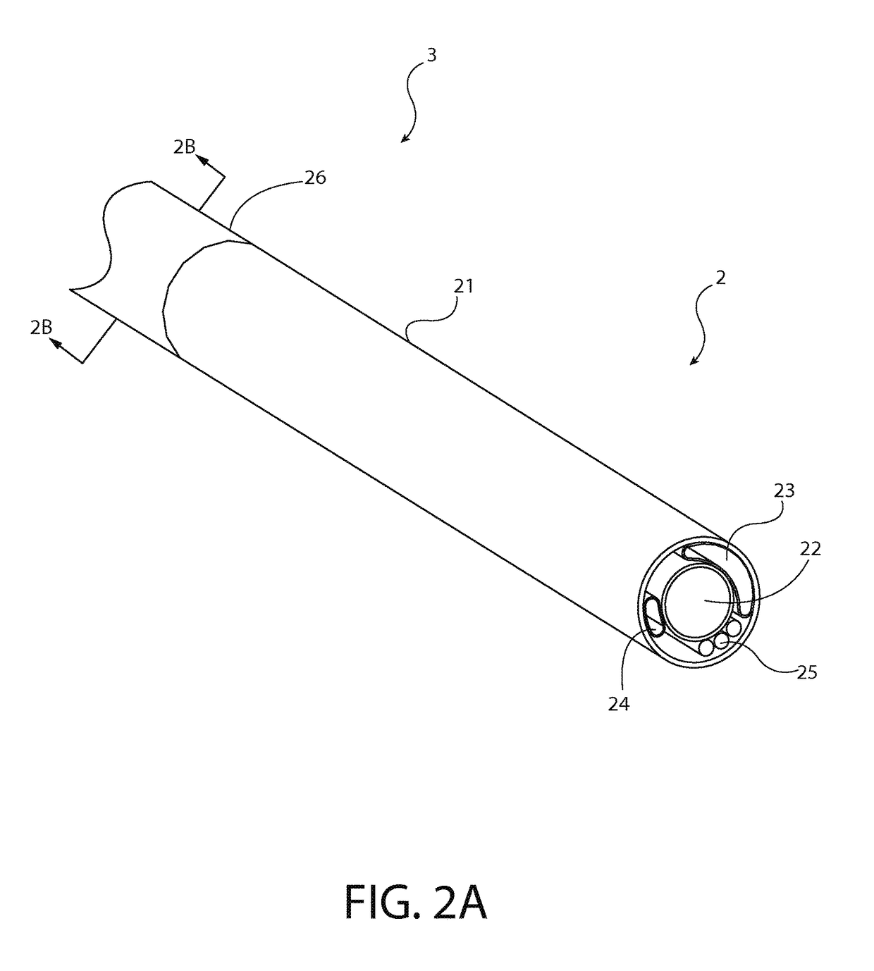 Endoscope with variable profile tip