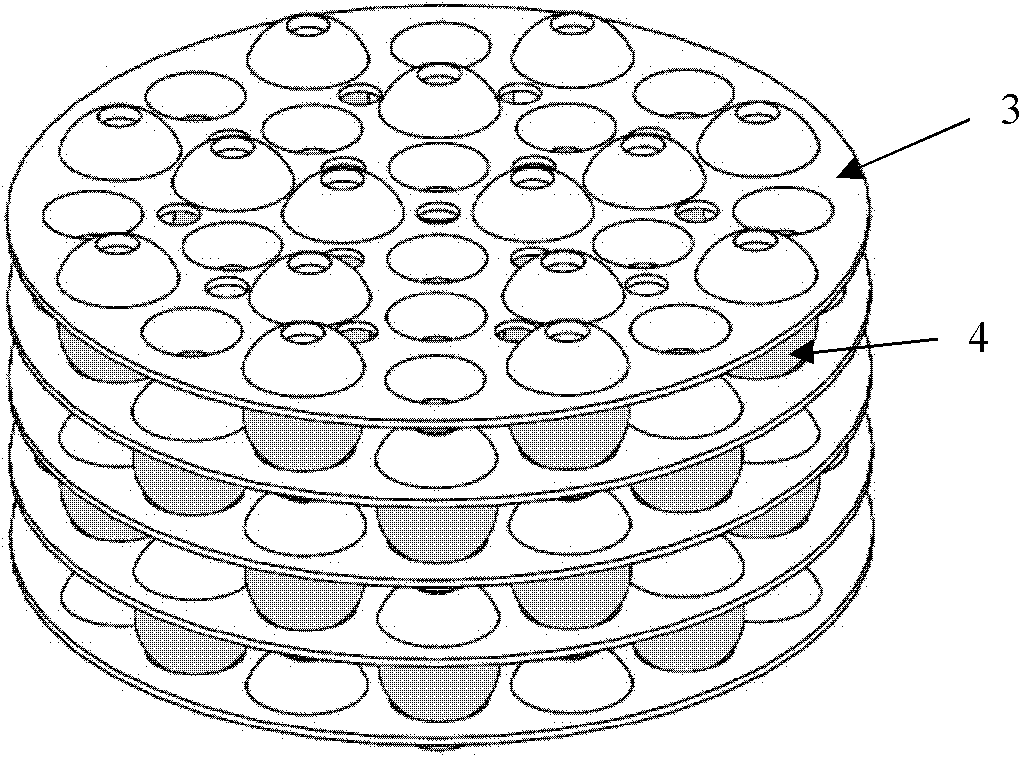 Soft tissue engineering scaffold and preparation process thereof