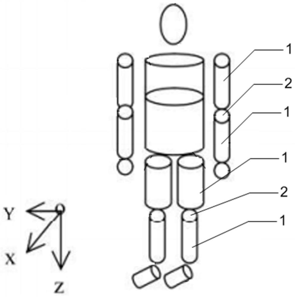 Personalized adjustable dummy device for body segment and joint characteristics