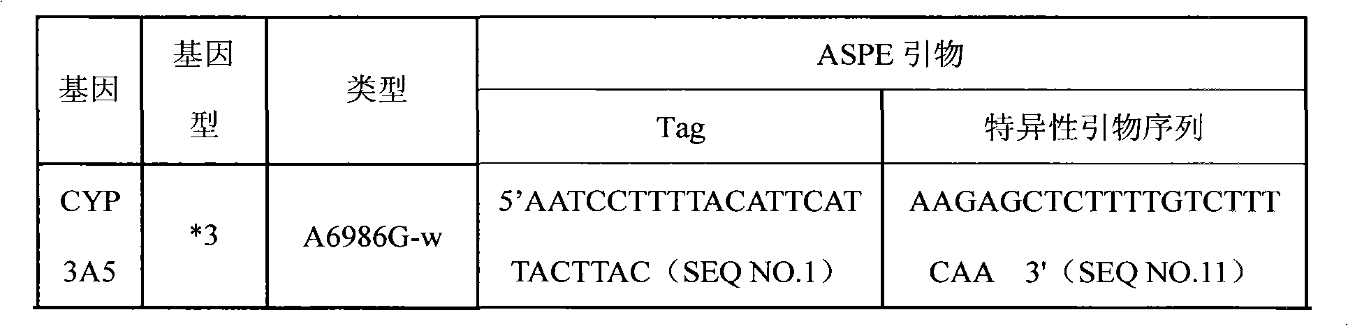 Specific primer, liquid phase chip and detection method for CYP3A5 gene SNP (Single Nucleotide Polymorphism) detection