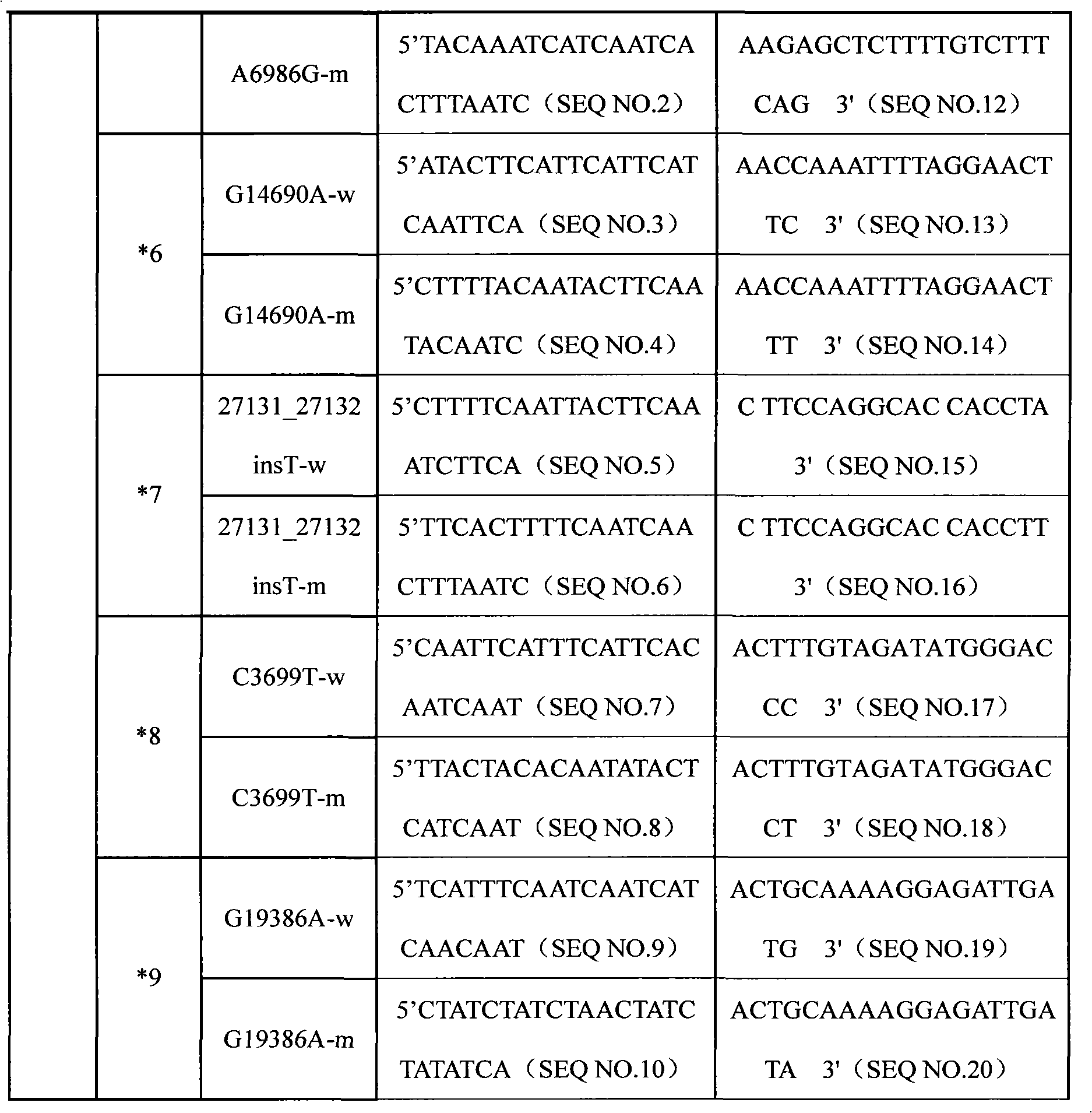 Specific primer, liquid phase chip and detection method for CYP3A5 gene SNP (Single Nucleotide Polymorphism) detection