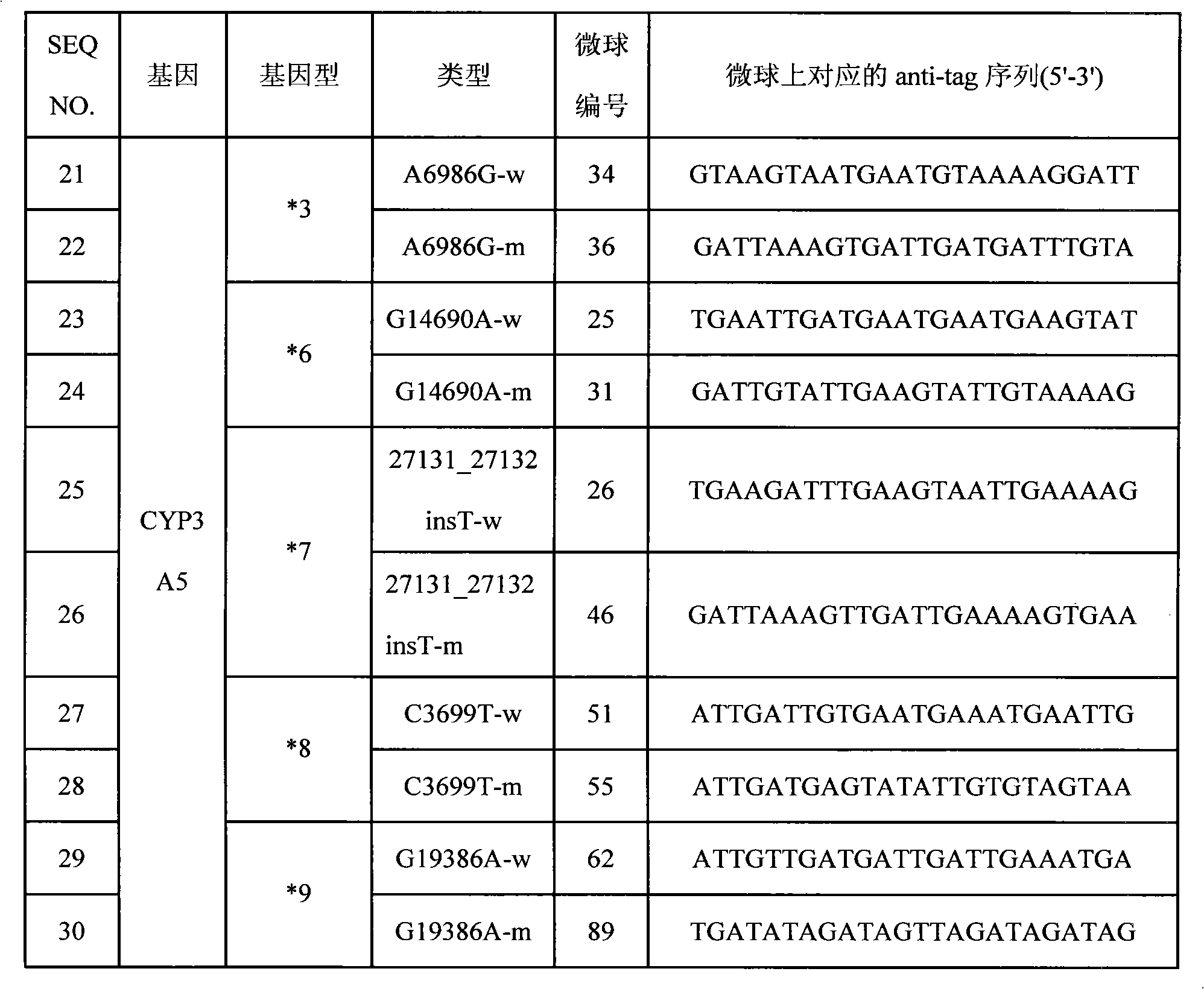 Specific primer, liquid phase chip and detection method for CYP3A5 gene SNP (Single Nucleotide Polymorphism) detection