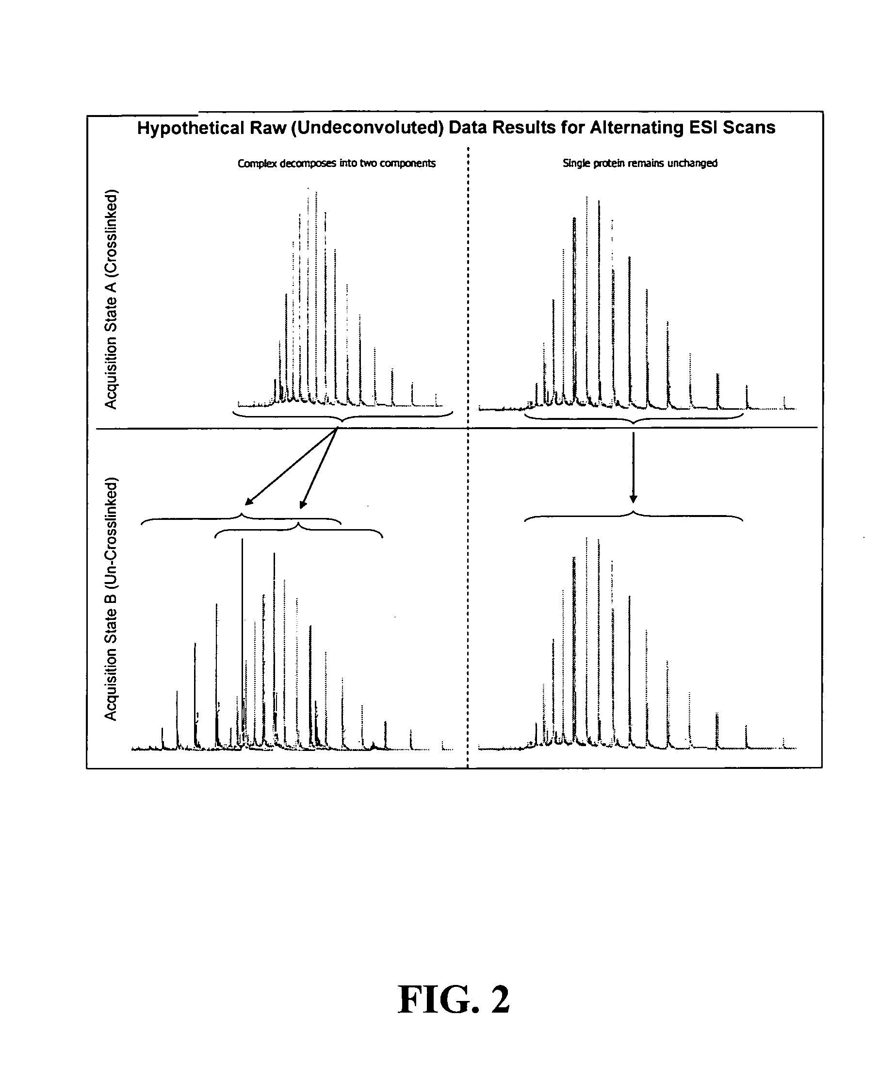 Method and system for identification of protein-protein interaction