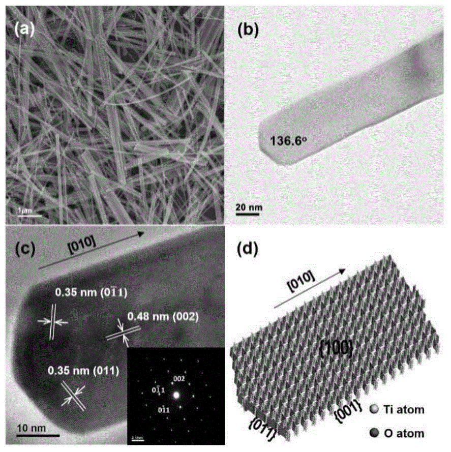 Catalyst for photocatalytic degradation of antibiotic as well as preparation method and application thereof