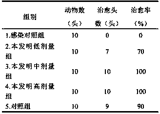 Traditional Chinese medicine composition for treating yellow scour of newborn piglet and preparation method thereof