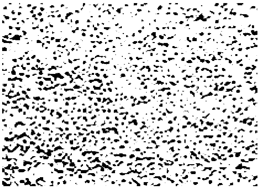 Porous insulating decorative material prepared by utilizing iron tailings and preparation method thereof