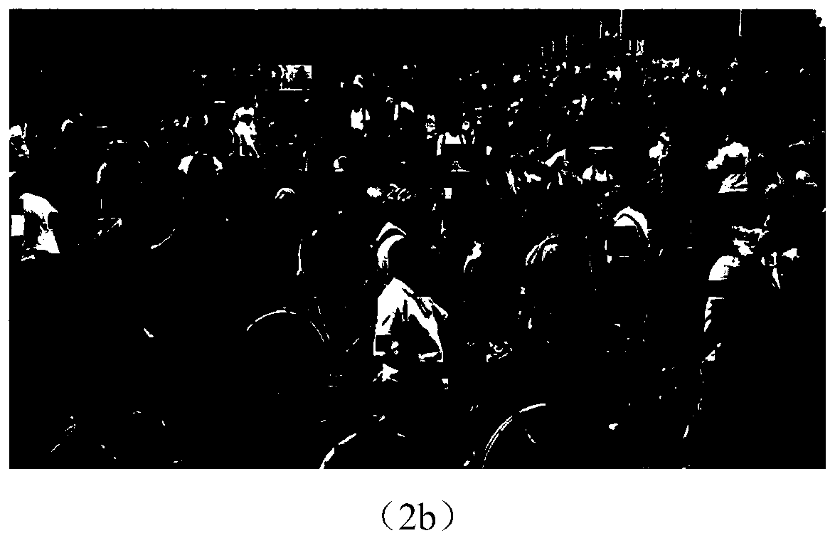 Perceptual video coding method based on area just-noticeable distortion