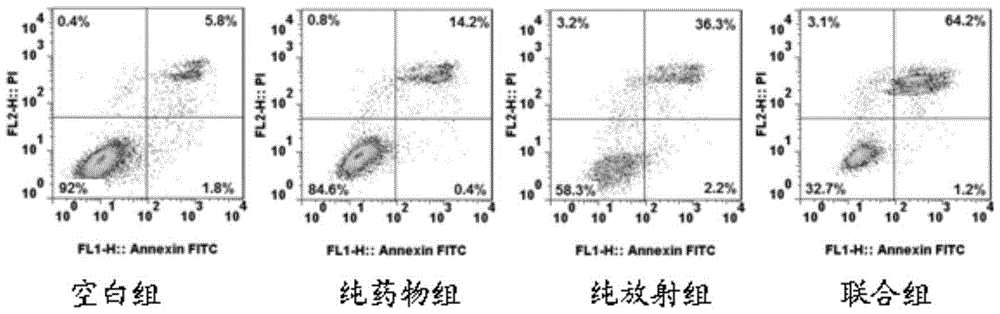 Application of triterpene glucoside or pharmaceutically acceptable salts thereof in preparation of tumor radiosensitizer