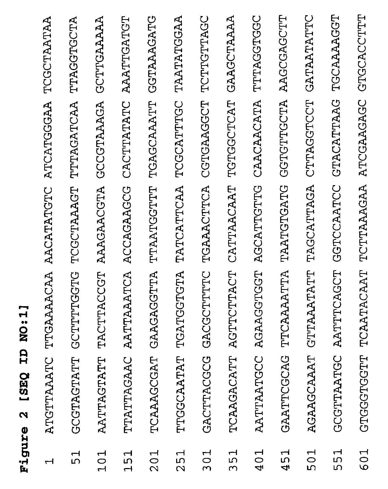 Polynucleotide encoding the enoyl-acyl carrier protein reductase of <i>Staphylococcus aureus</i>, FAB I