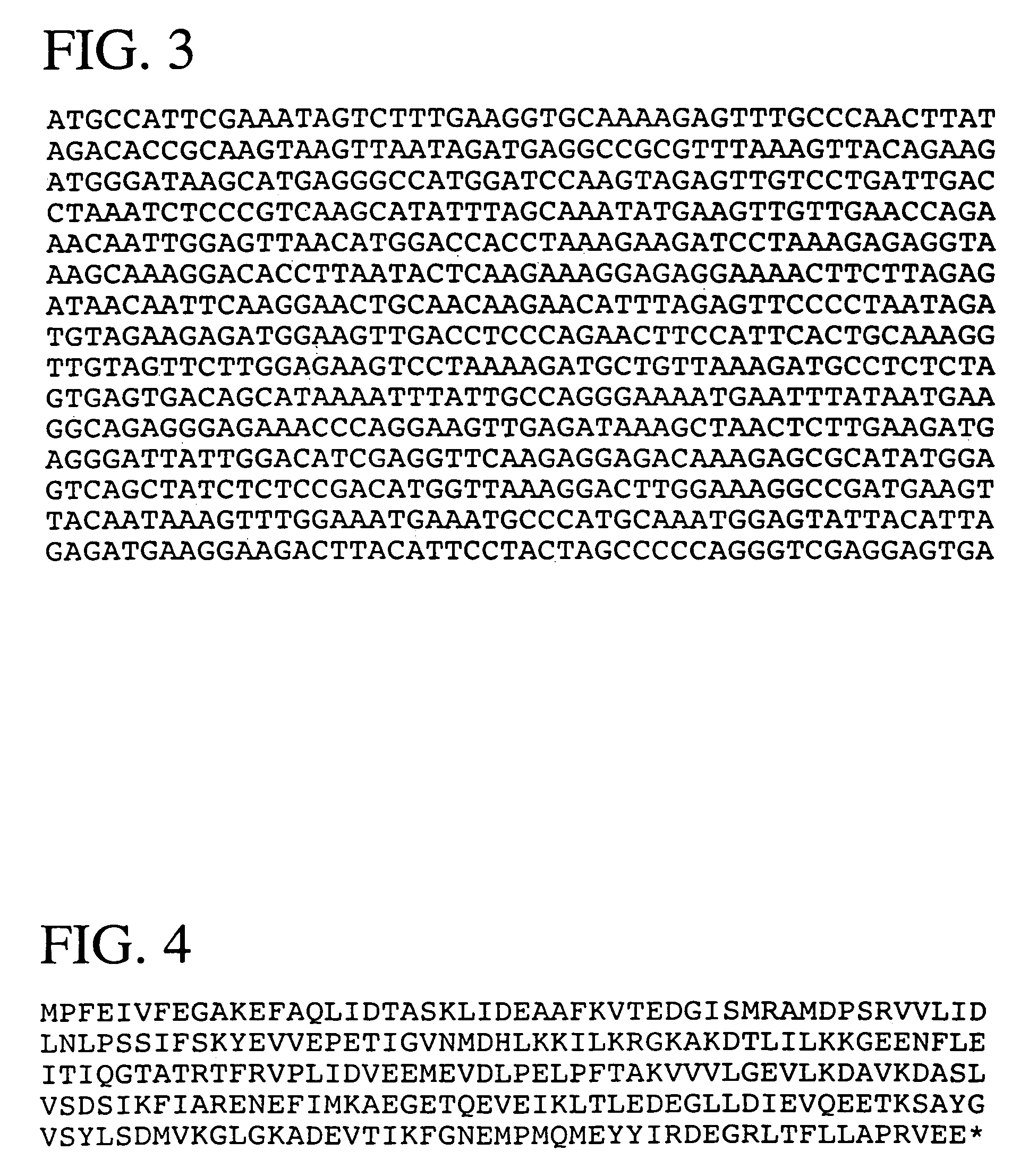 Pfu replication accessory factors and methods of use