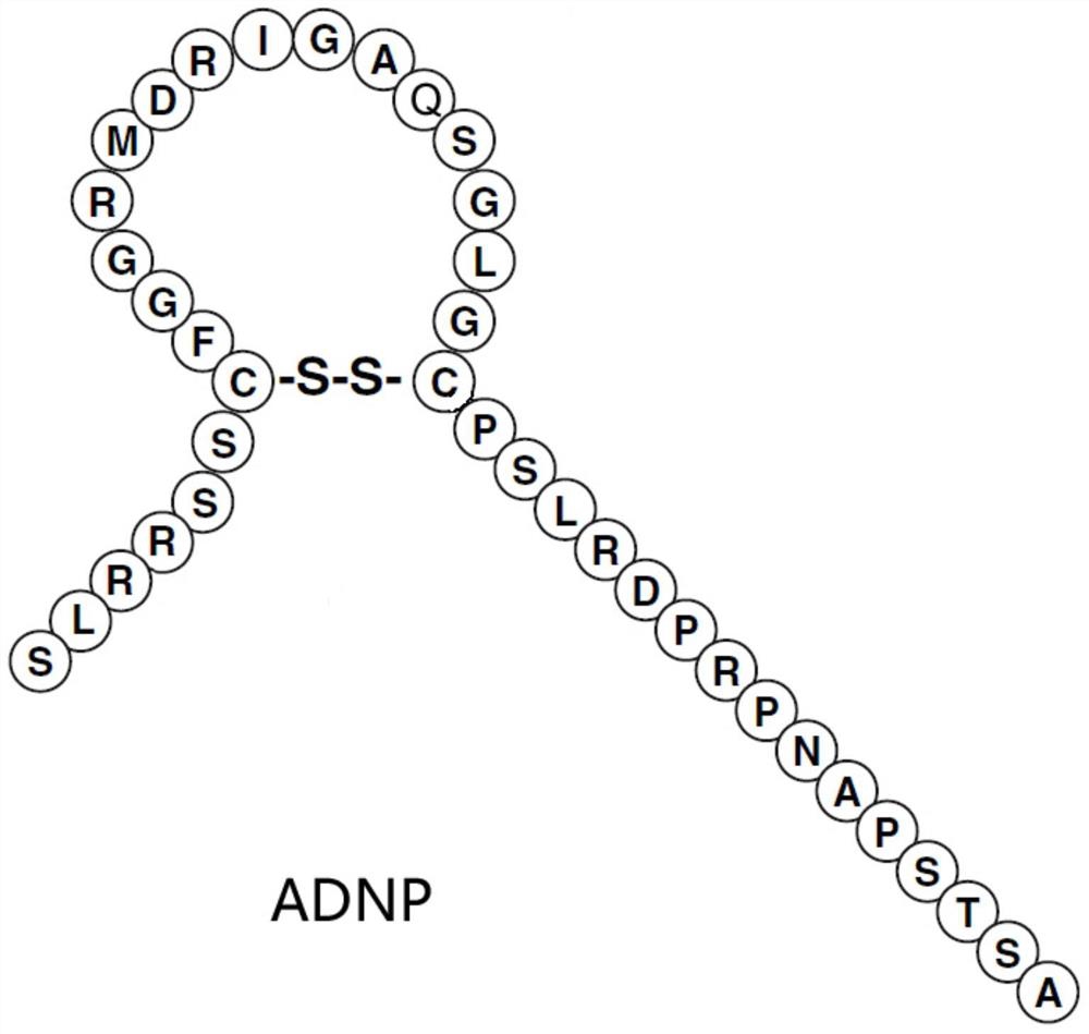 A kind of recombinant natriuretic peptide and its preparation method