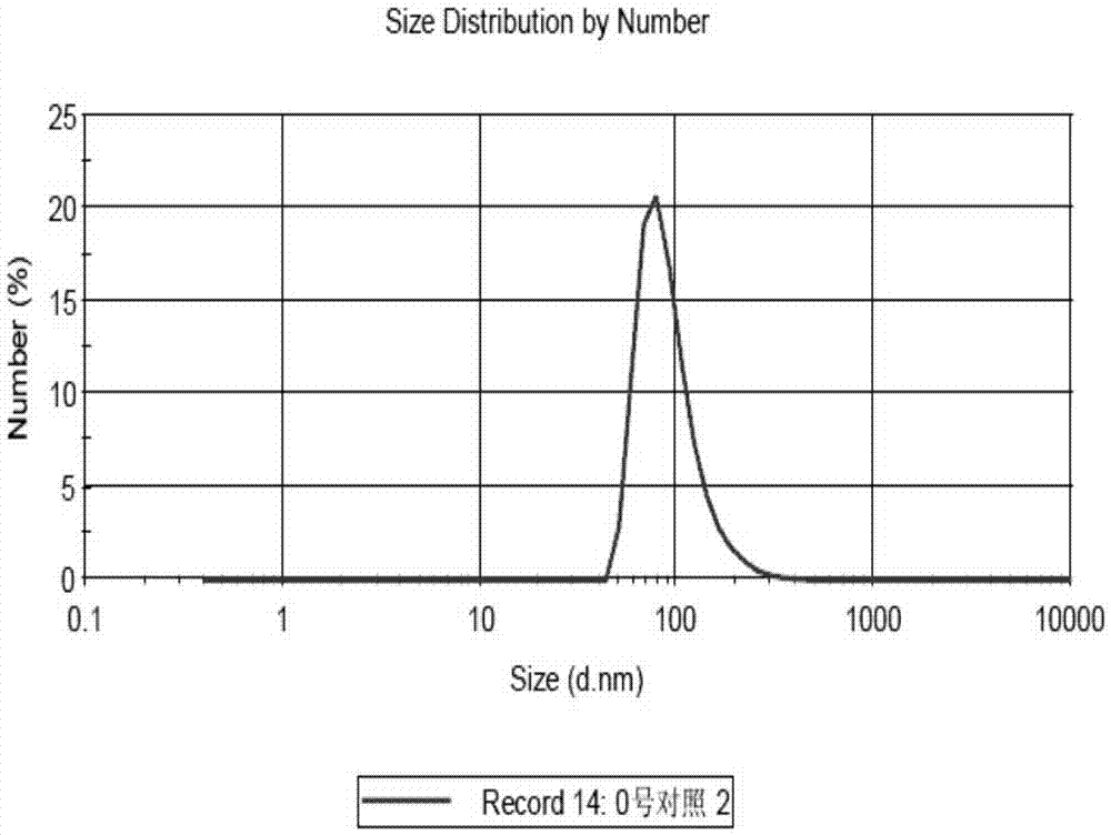 PM (PTXPEG-PLA micelles)-coated nano-cluster and preparation method thereof