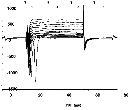 Method for inducing transdifferentiation of fibroblasts into neuronal cells and application thereof