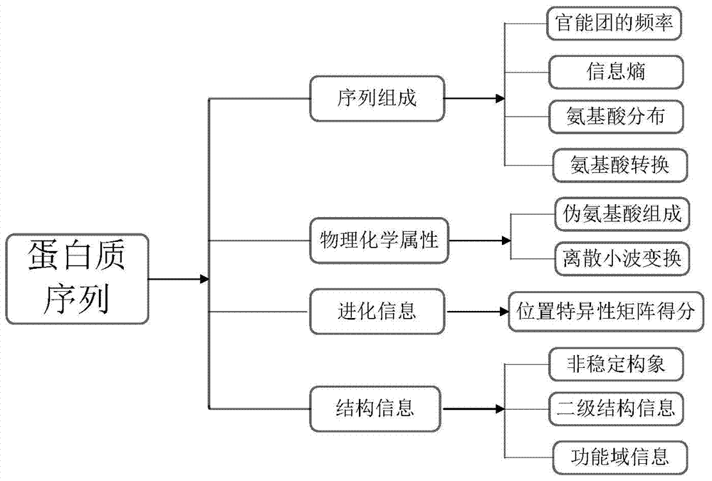 Integrated learning method for recognizing ECM (extracellular matrix) protein