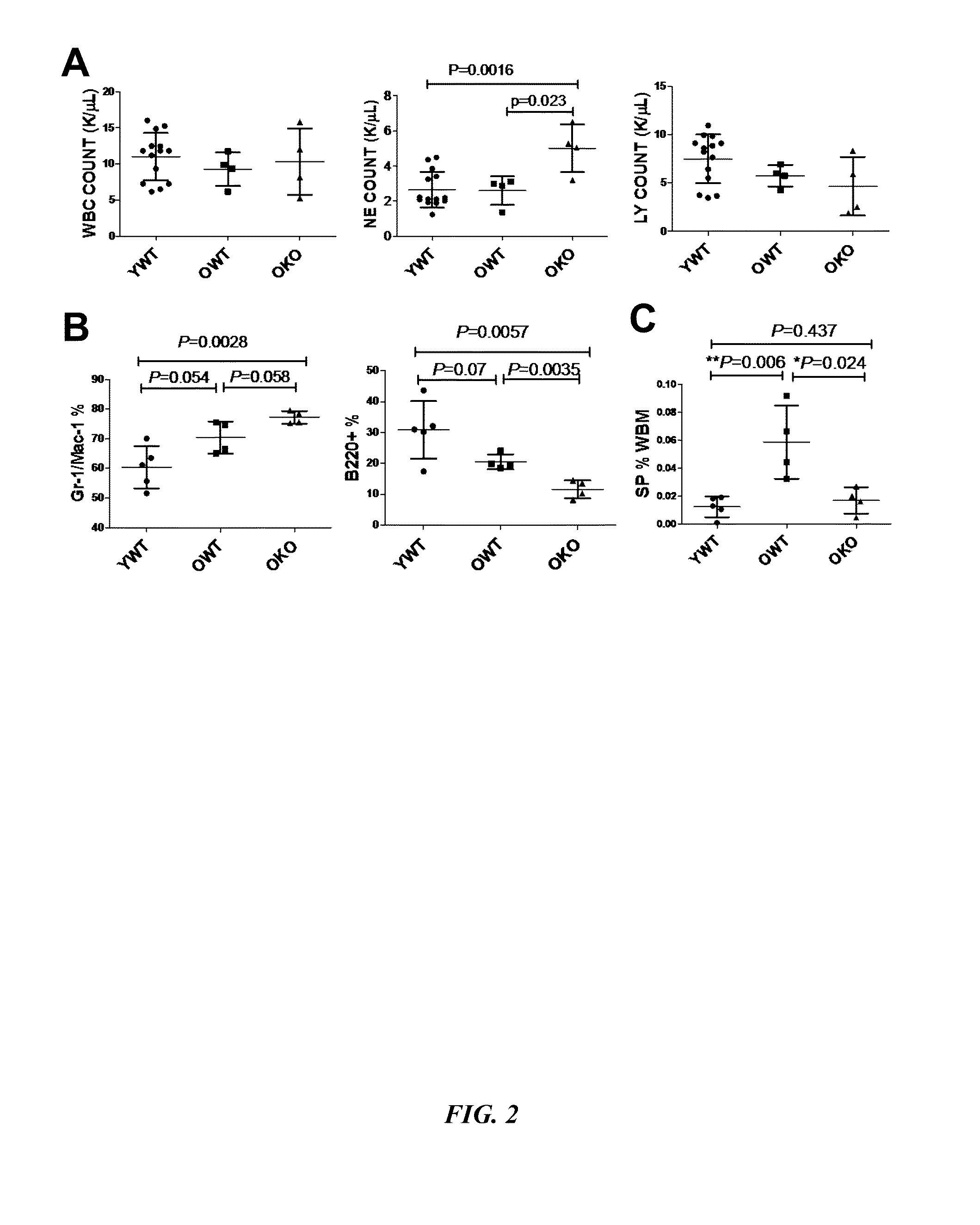 SIRT1 inhibitors and stem cell rejuvenation